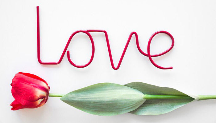 Best Flowers to Express Your Love on this Valentine’s Day!